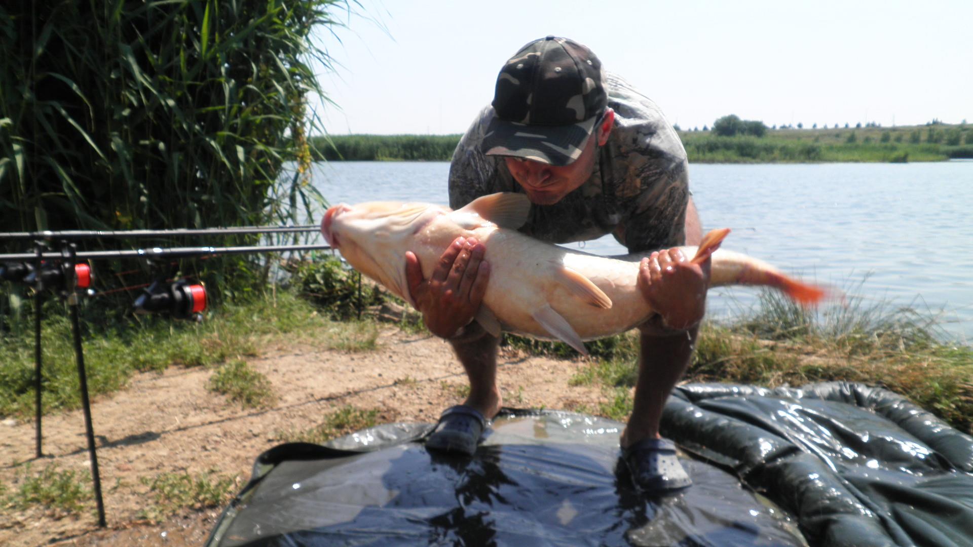 Tancabesti - p7100102.JPG